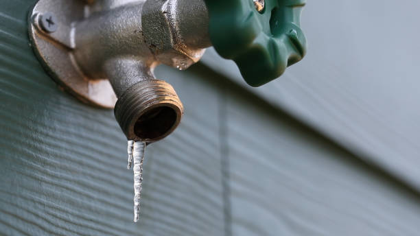 Best Drain Cleaning Services  in Shorewood Hills, WI
